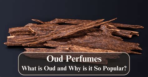 where does oud come from.